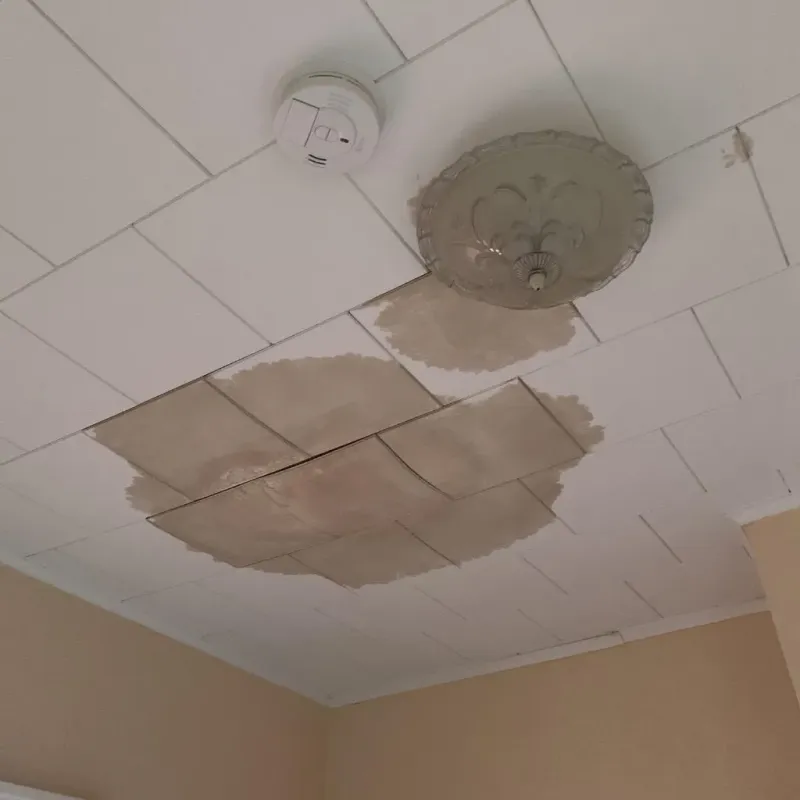 Ceiling Water Damage Repair in Marshville, NC