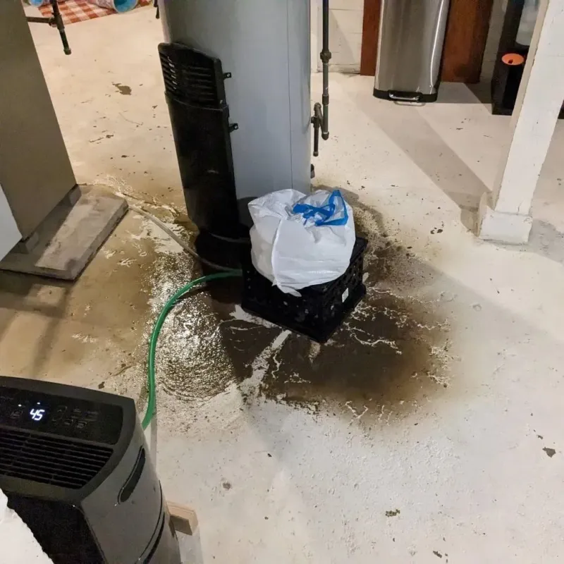 Sewage Backup Cleanup Service in Marshville, NC